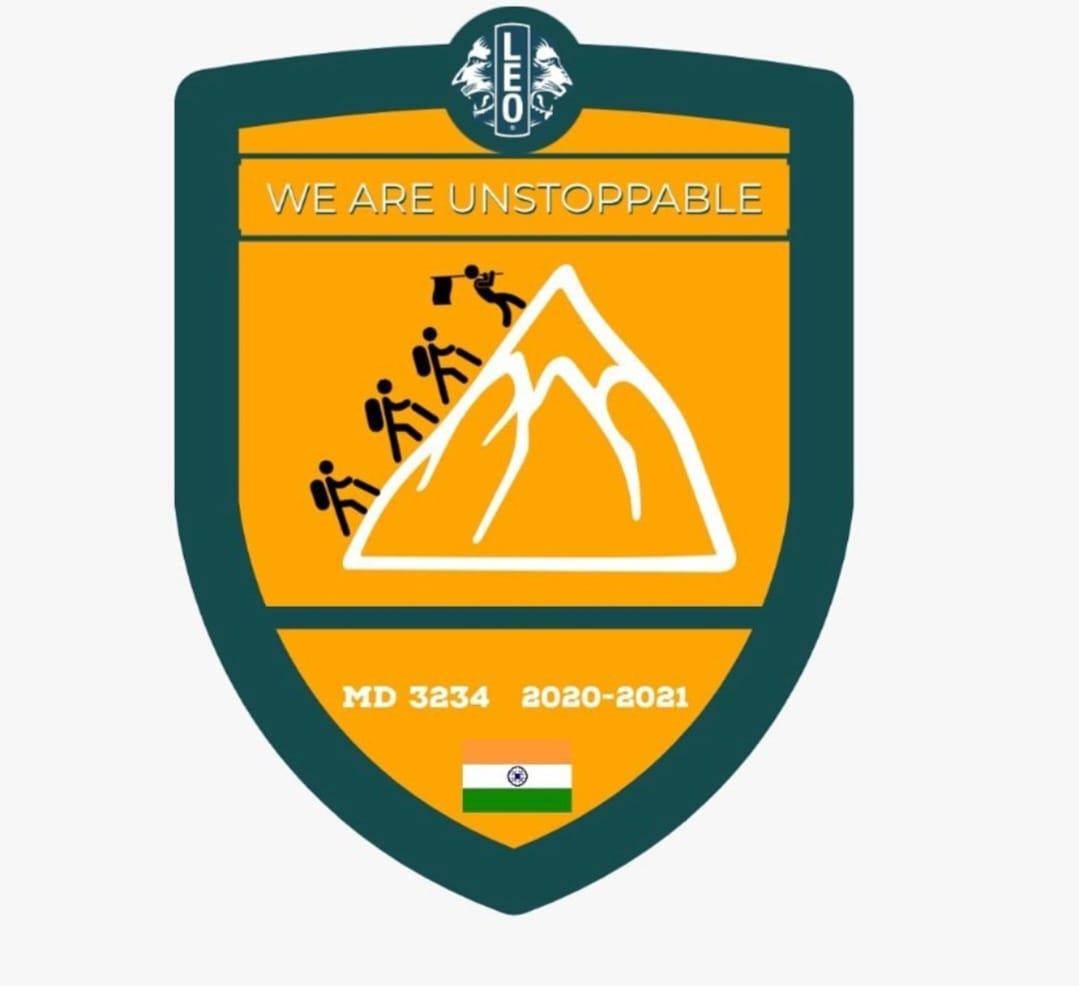 Leo Clubs Multiple District 3234 pin design